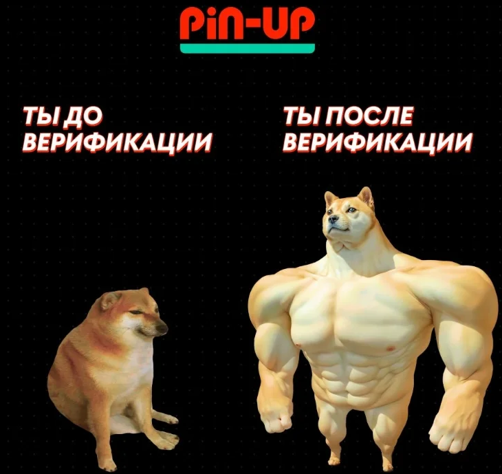 Pin-Up лучшие слоты Откройте для себя захватывающий мир азартных игр